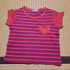 a.v.v.子供服Tシャツ80