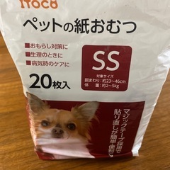 決まりました　ペットの紙おむつ🐕
