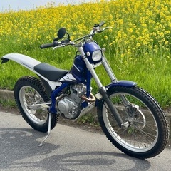 スコルパ TYS125F 新古車　実働 書類付 走行距離たった10km