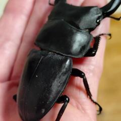 No14の画像