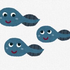 カエルのタマゴ、大きなおたまじゃくしを探しています。居場所