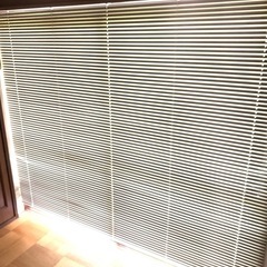 白　ブラインド