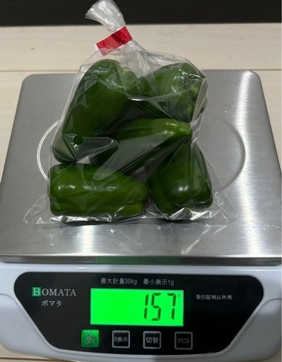 宮崎県産ピーマン10kg⑥