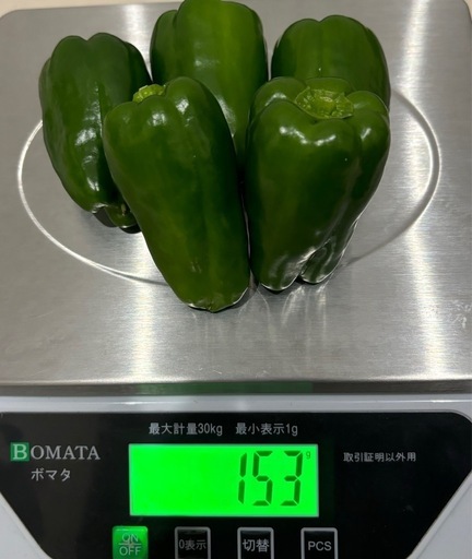 宮崎県産ピーマン10kg⑥