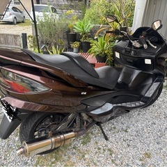 SUZUKI スカイウェイブ250　タイプS CJ44Aの画像