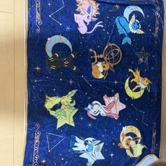 ポケモンイーブイブイズブランケット (みすてぃ) 小田急相模原の ポケモンイーブイブイズブランケット (みすてぃ) 小田急相模原の