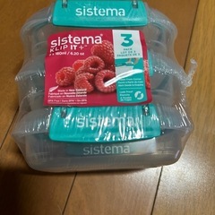システマ　保存用タッパー