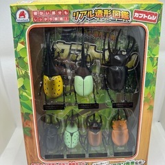 箱付きカブトムシフィギュア