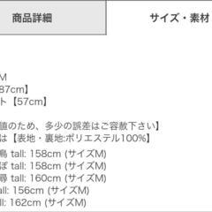 新品タグ付きグレイル・フレアースカートの画像
