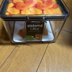 システマ　保存容器