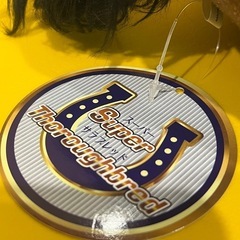 アーモンドアイSuper Thoroughbred ぬいぐるみ
の画像