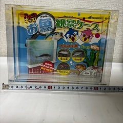 お魚観察ケース　学習教材　水槽　自由研究　