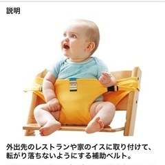 チェアベルトの画像
