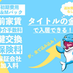 💖🌸4月12日新着物件！『初期費用はコミコミ6万円(税込)だけ』東久留米🐬1K🐬🐬K&M不動産🌸💖 - 不動産