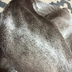 スヌード　の画像