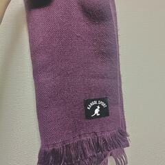 KANGOL マフラー