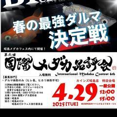 昭島めだかフェス - イベント