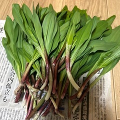 天然物行者ニンニク100gの画像
