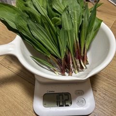 天然物行者ニンニク100gの画像