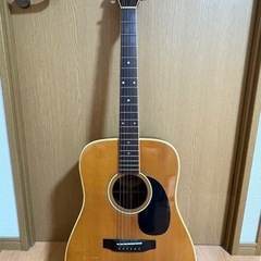 Morris FW-25 アコースティックギター