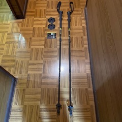 登山グッズ|トレッキングポール