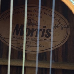 Morris FW-25 アコースティックギターの画像