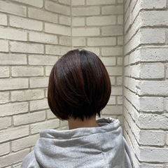 好評🫶ショートの方限定‼️無料カットモデル募集！！
