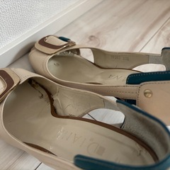 Diana 23.5センチの画像