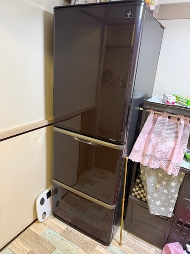 シャープノンフロン冷凍冷蔵庫 SJ-PW35A-T 【公式通販】