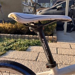 レベナの画像