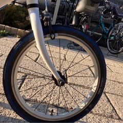 レベナの画像