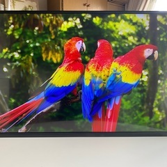 東芝 4K,Wi-Fi対応 アプリ多数搭載 43インチ液晶テレビ...