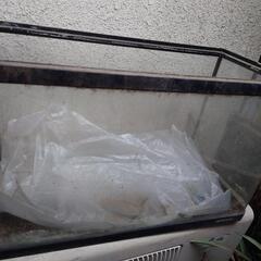 水槽の画像