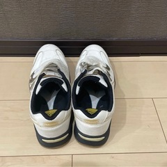 ディアドラ　安全靴の画像