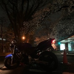 [値引き早い者勝ち]ホーネット250 吹け上がり抜群の画像