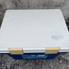 アイリスオーヤマクーラーボックス ピクニック部活動キャンプ用品 フェス レジャー 海 海水浴 バーベキュー BBQ 便利 釣りソロキャンプ🍉プロフ必読の画像
