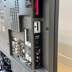 パナソニックビエラ VIERA TH-L32X1 [32インチ]  2009年製 の画像