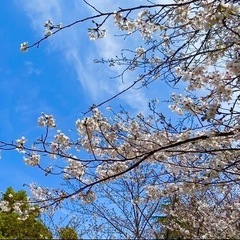 一緒に遊びませんか？