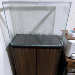 600ハイタイプ水槽、台、フィルター、金魚生体付き