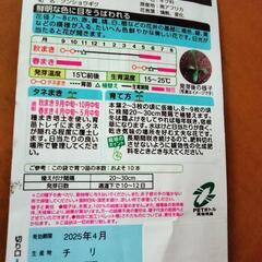 TAKIIのタネ　ガザニアの画像
