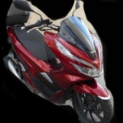 PCX JF81
