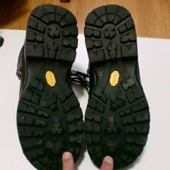 ダナーのマウンテンブーツ　24.5㎝　(USED品)の画像