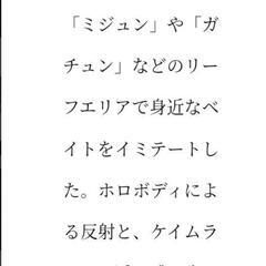 エギ王Kの画像