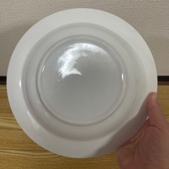 大きめプレートの画像