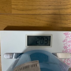 水槽　高級底砂ガーネットサンド約２０kg（バケツごと）の画像