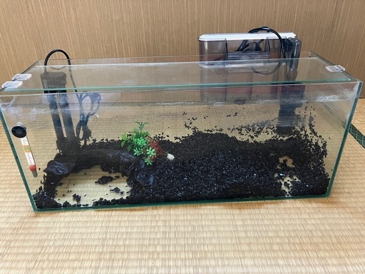 60cm水槽