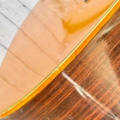 Elite by Takamine TW-25 '70年代ヴィンテージアコギの画像
