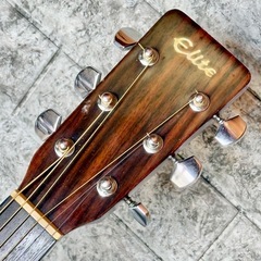 Elite by Takamine TW-25 '70年代ヴィンテージアコギの画像