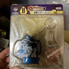ワンピース　悪魔の実