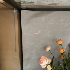 和風ガラスケース　大きいサイズの画像